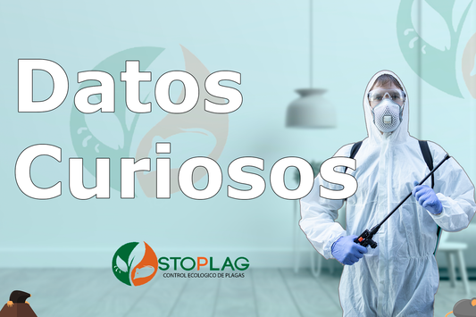 10 Datos Curiosos Sobre Las Plagas