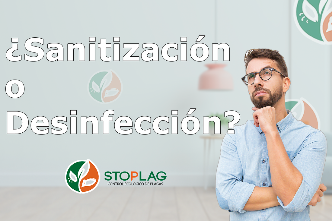 ¿Sanitización o Desinfección?...¿Son lo mismo?